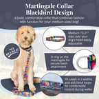 Lucky Love Dog Blackbird pattern martingale collar for medium dogs close up webbing detail.