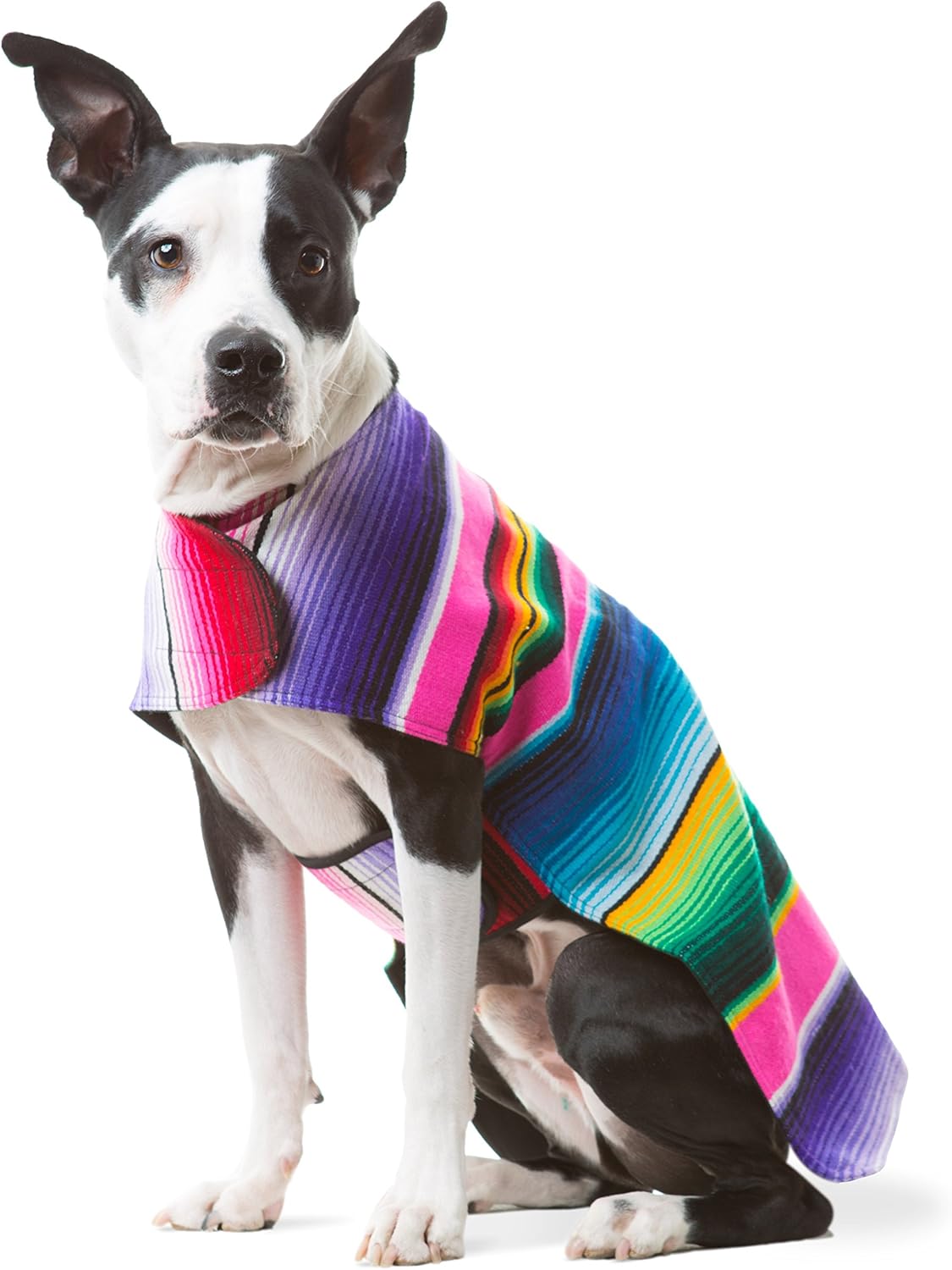 Dog Clothes - Handmade Dog Poncho from Authentic Mexican Blanket by Baja Ponchos (Blue, Small) - Image 10