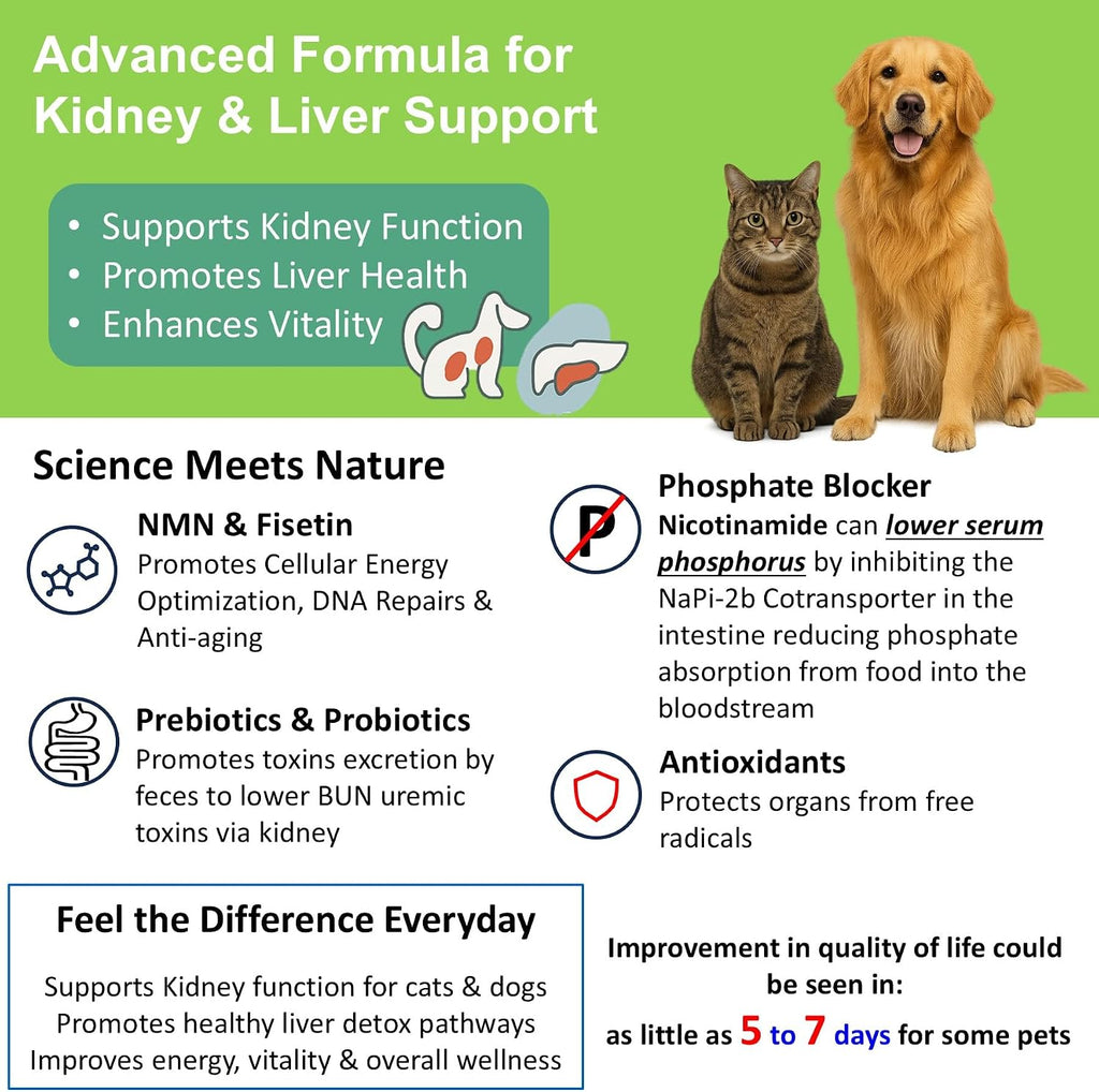 Eventually Young kidney and liver support capsules