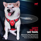 Durable nylon webbing material detail for dog seat belt
