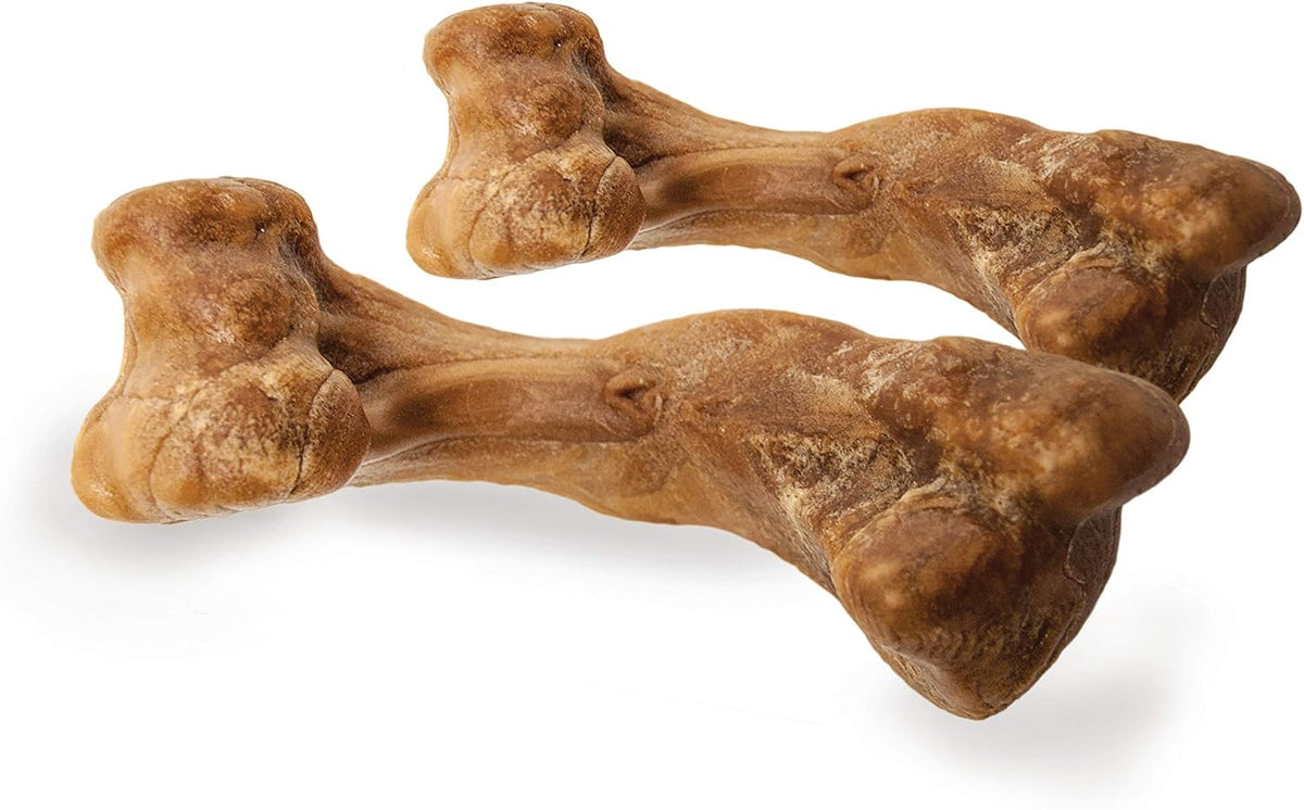 Nylabone plaque and tartar reduction pet chew treats overview