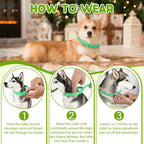Waterproof design demonstration of Monipgu flea collar