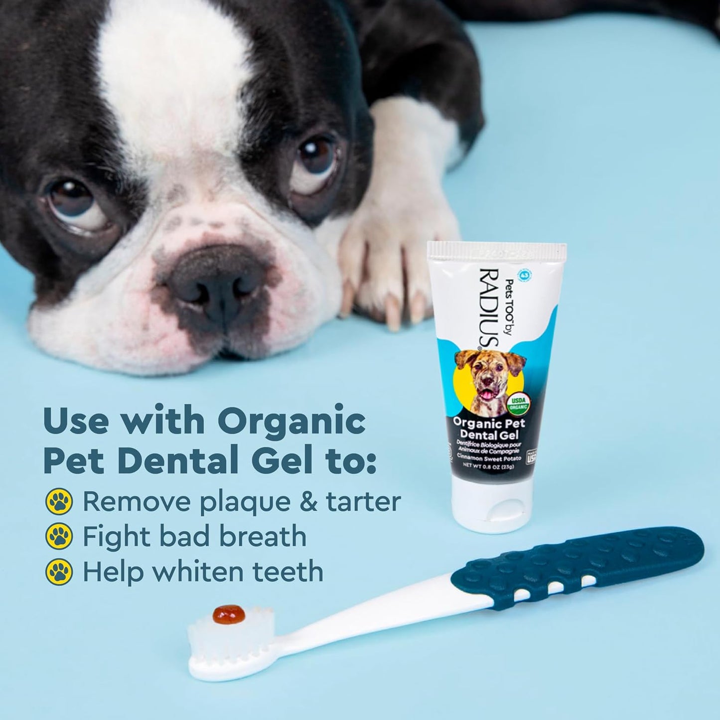 Ergonomic non-slip handle of Radius pet toothbrush