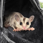 Sweetude 2 Pcs Sugar Glider Pouch Breathable Carrying Bonding Pouch Soft Hamster Carrier with Strap Zipper Small Animal Travel Sleeping Bag Cage Accessories for Rat Reptile Other Small Pets(Black) - Image 6