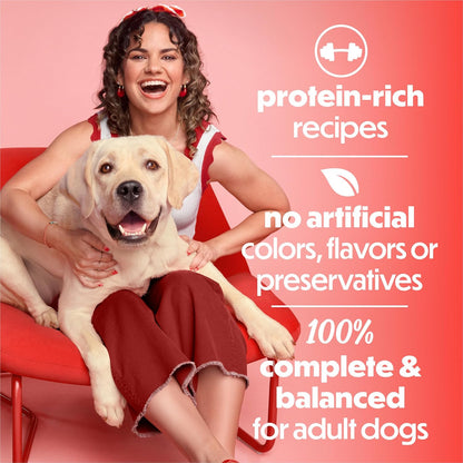 USA imported Purina wet dog food cans with visible real vegetables