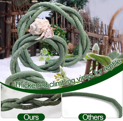 Flexible jungle vine bent inside a glass reptile terrarium