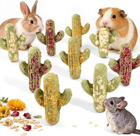 Abizoo Rabbit Chew Toys front view showcasing the nine piece compressed cactus shaped timothy hay pet treats