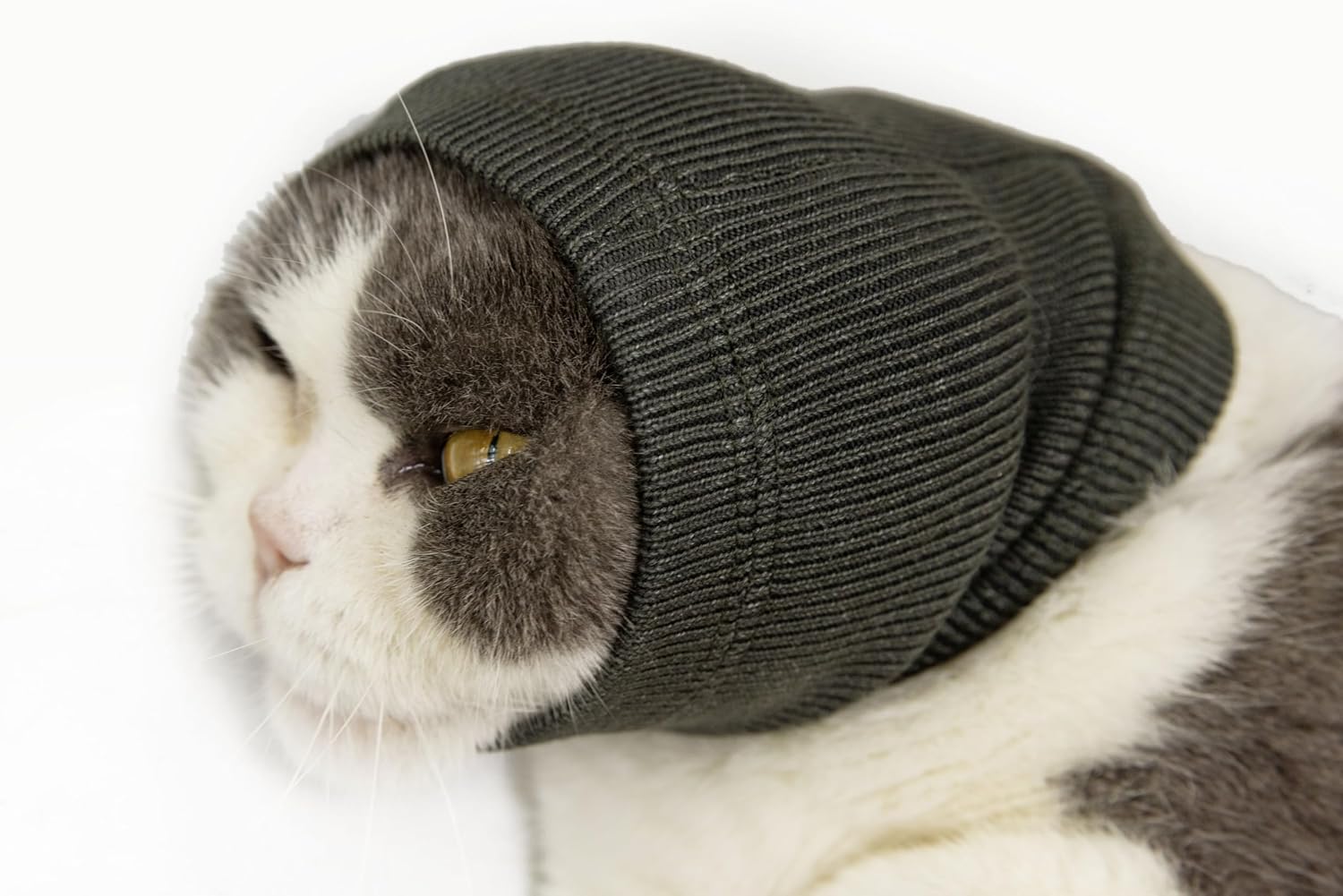 Cat Hematoma Ear Wrap, Cat Snood Anxiety Relief, Bath Accessories for Pet Grooming & Force Drying (Pail Lilac S) - Image 12