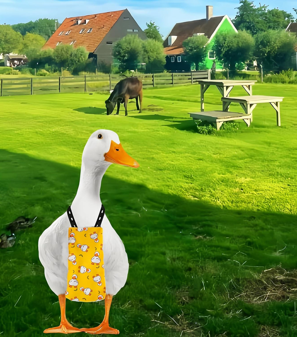 Poultry nappy showing adjustable hook and loop fasteners