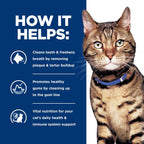 Hill's Prescription Diet t/d dental care cat food package back view
