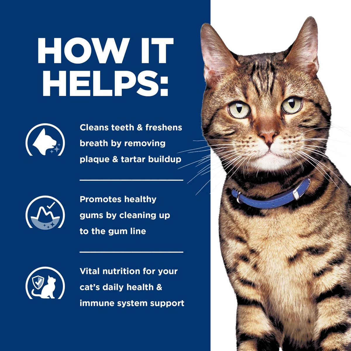 Hill's Prescription Diet t/d dental care cat food package back view