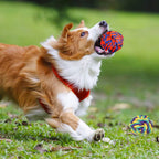 Premium retail packaging view of the authentic USA imported SHARLOVY dog toy kit for aggressive chewers