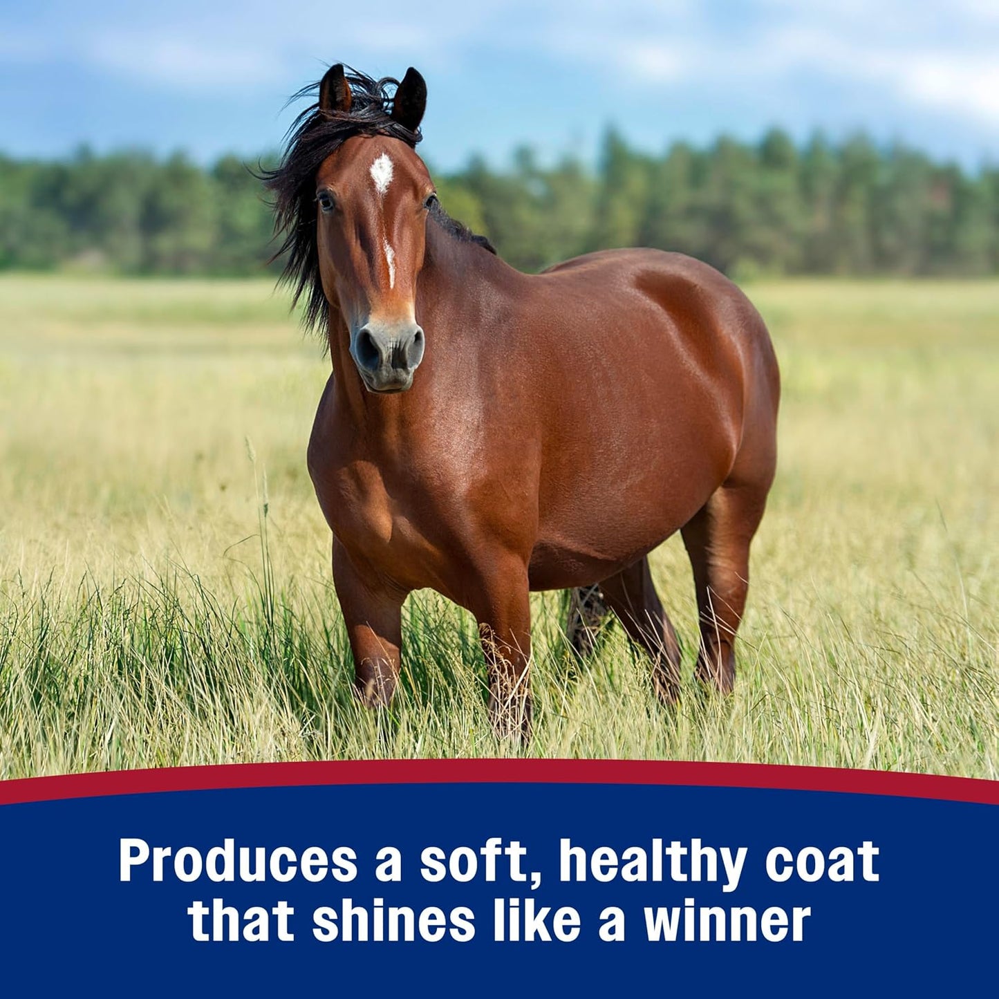 Premium silicone horse detangler and stain repellent formula