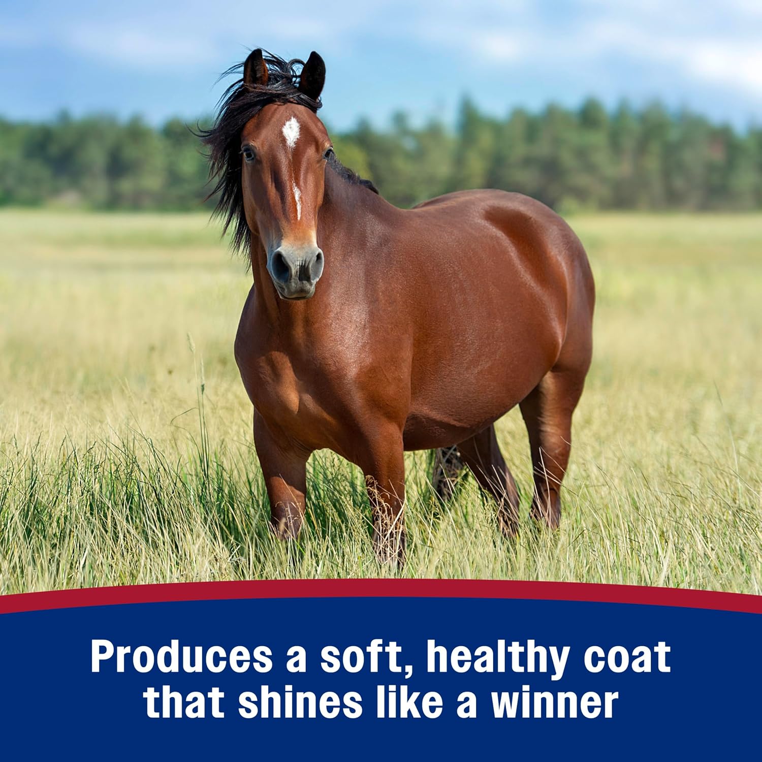 Premium silicone horse detangler and stain repellent formula