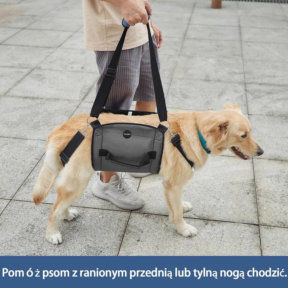 Coodeo rehabilitation sling for dog joint injuries