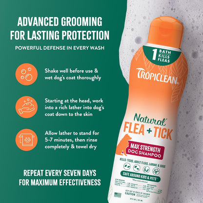 Anti tick and flea shampoo treatment for large and small dogs