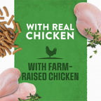 Purina Moist and Meaty soft dog food individual fresh pouches showing texture