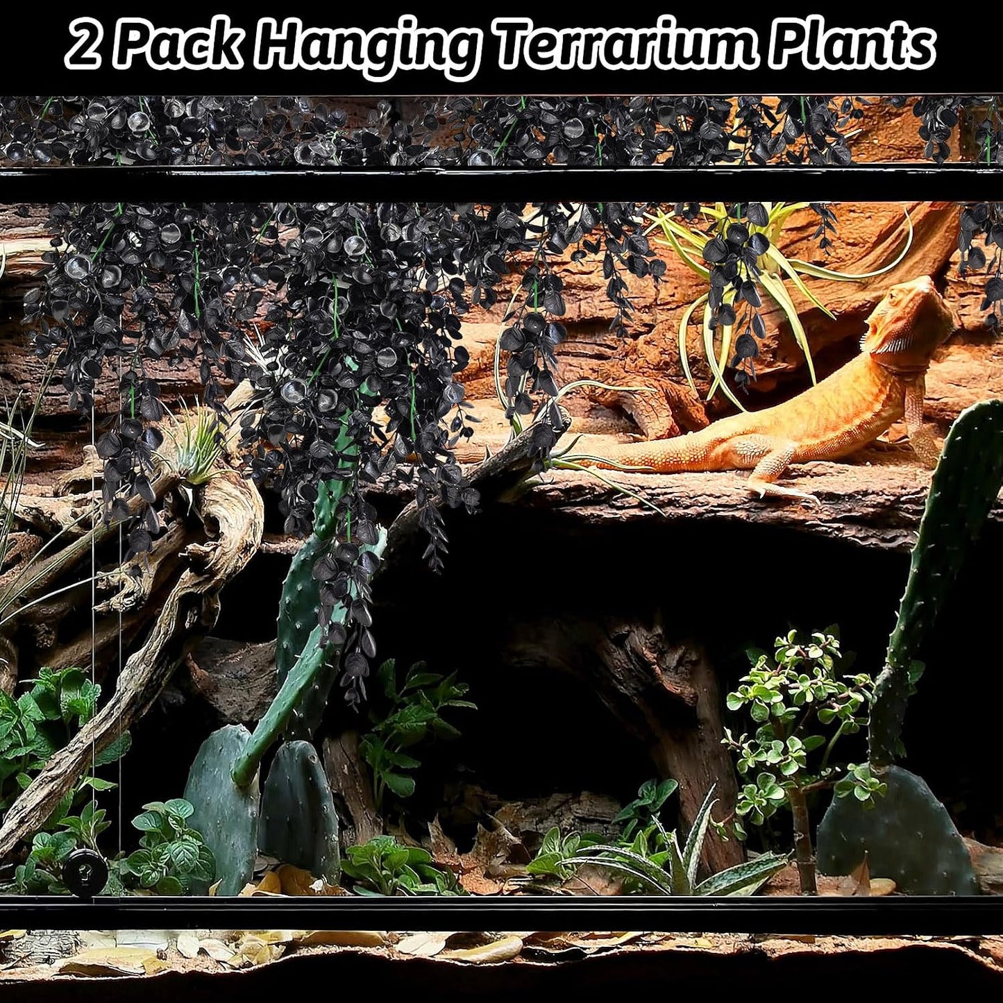 Hamiledyi hanging terrarium decor for bearded dragons and geckos