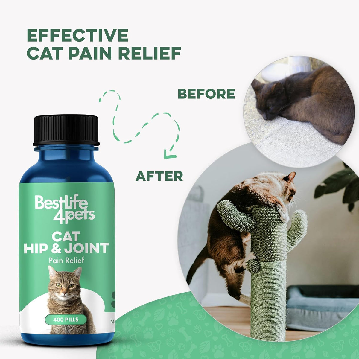Senior cat looking active after joint support care
