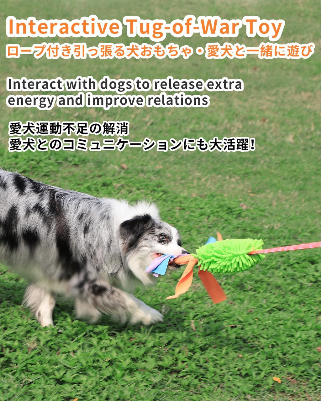 SCHITEC interactive bungee rope toy being pulled to demonstrate elastic shock absorption