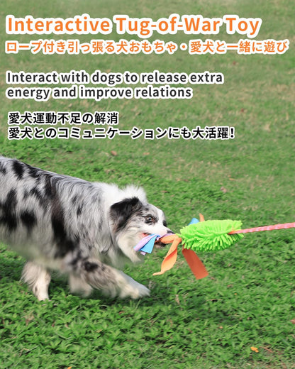 SCHITEC interactive bungee rope toy being pulled to demonstrate elastic shock absorption