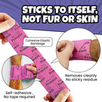 Six pack of Rubyloo girls theme self adhesive pet tape rolls with humorous text