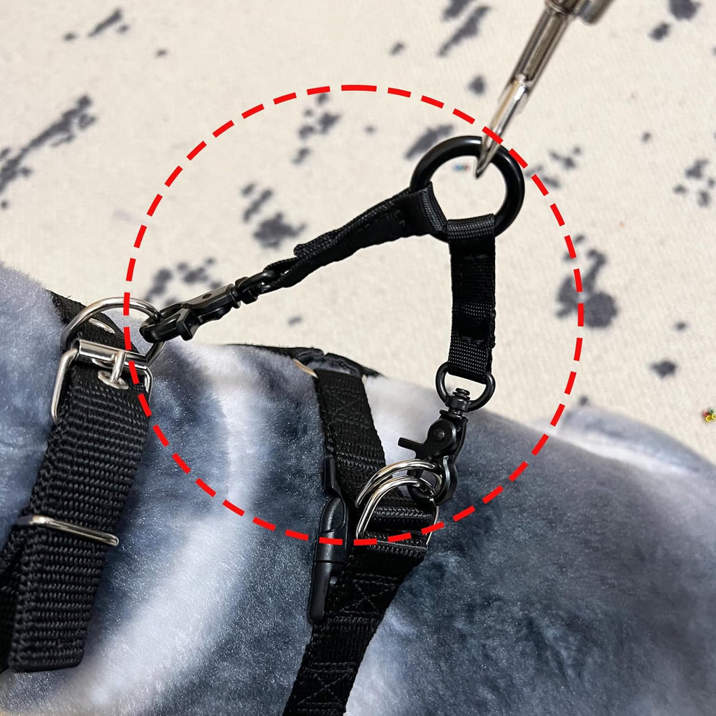 Close-up of the nickel-plated zinc clips on the Della Stella two dog walking attachment.