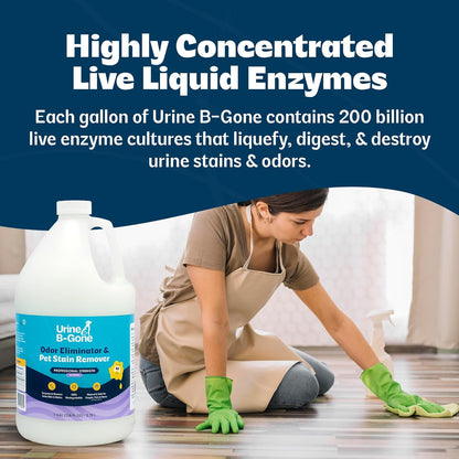 Professional grade enzyme cleaner for laundry and upholstery