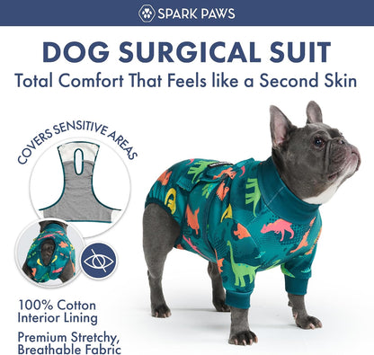 Dog wearing green dinosaur print surgery recovery suit