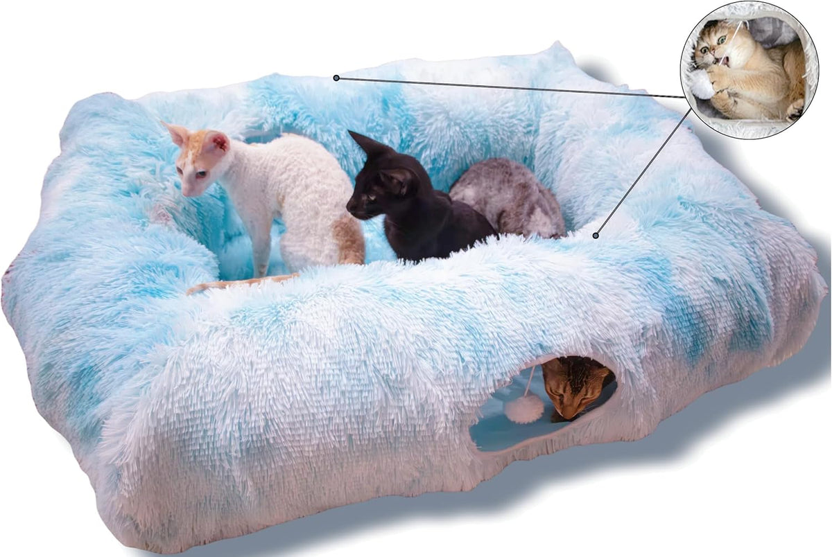An elderly cat easily entering the accessible low profile center mat of the XxingSheep tunnel bed