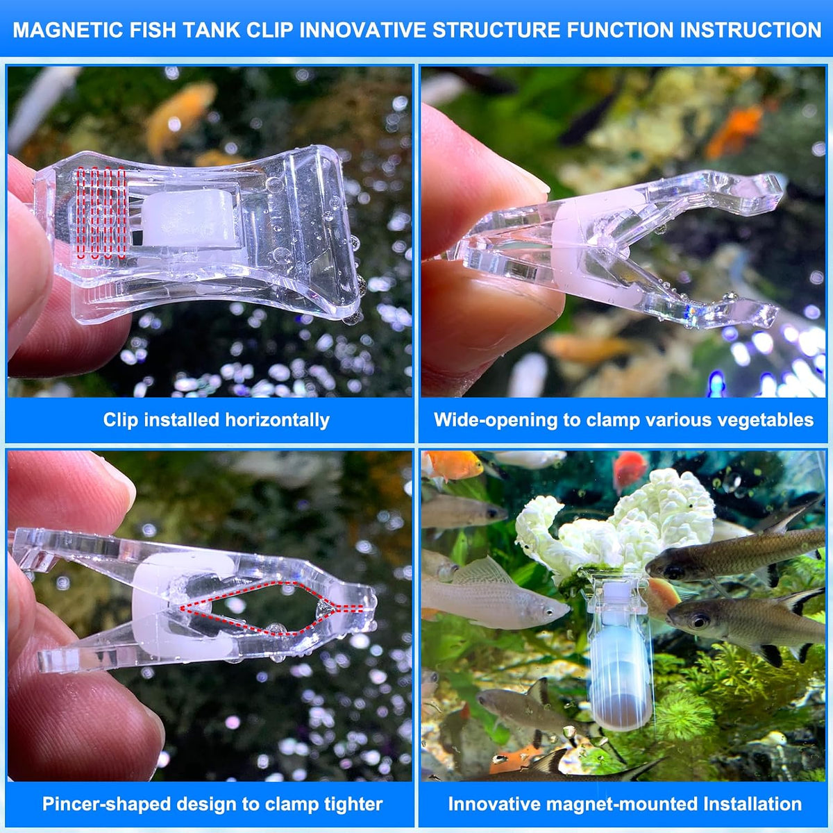 NestBasics magnetic nori feeding clamp mounted securely on an aquarium glass wall with active reef fish grazing