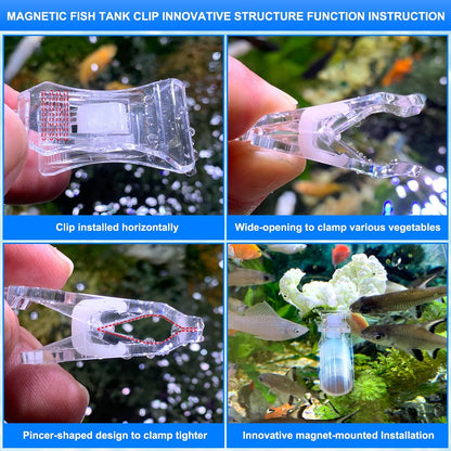 NestBasics magnetic nori feeding clamp mounted securely on an aquarium glass wall with active reef fish grazing
