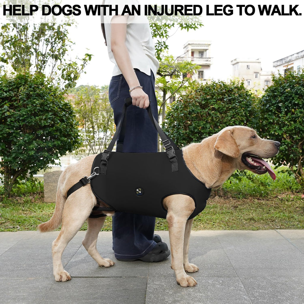 Coodeo dog lift harness underbelly design for excretion