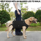 Coodeo dog lift harness underbelly design for excretion