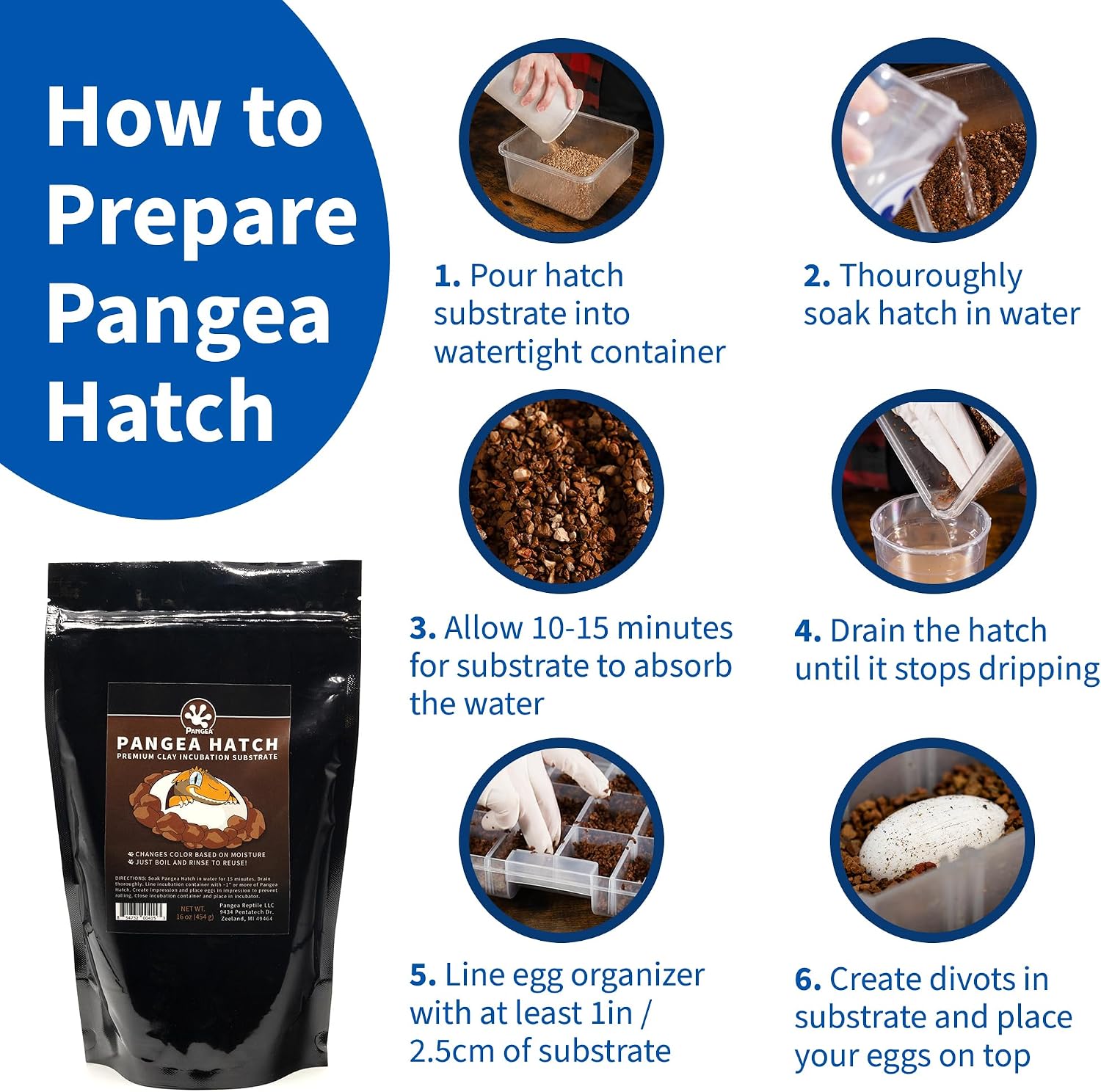 Pangea Hatch Premium Reptile Egg Incubation Substrate used inside a clear gecko egg plastic incubation tray setup.