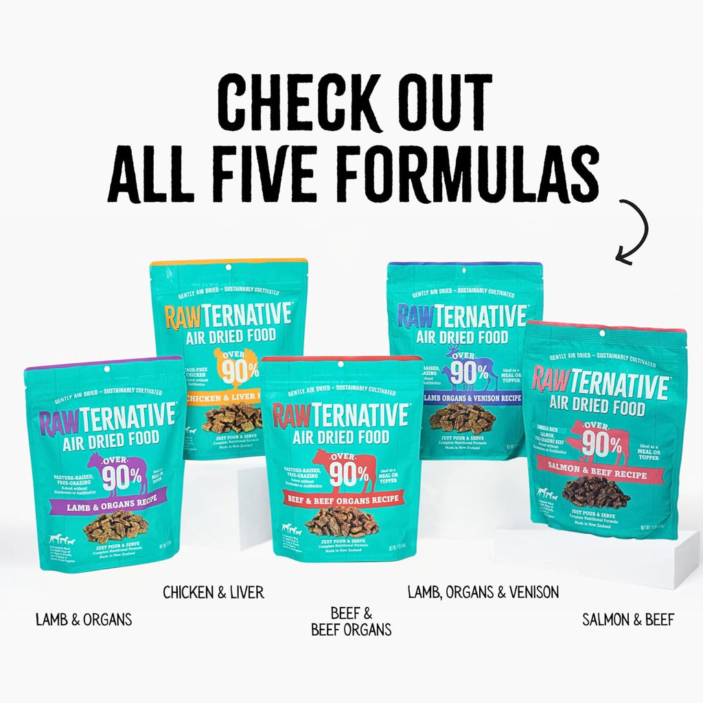 RawTernative salmon and beef recipe one pound dry pet food bag side profile
