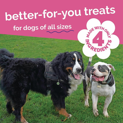 Natural bison flavored dog treats package