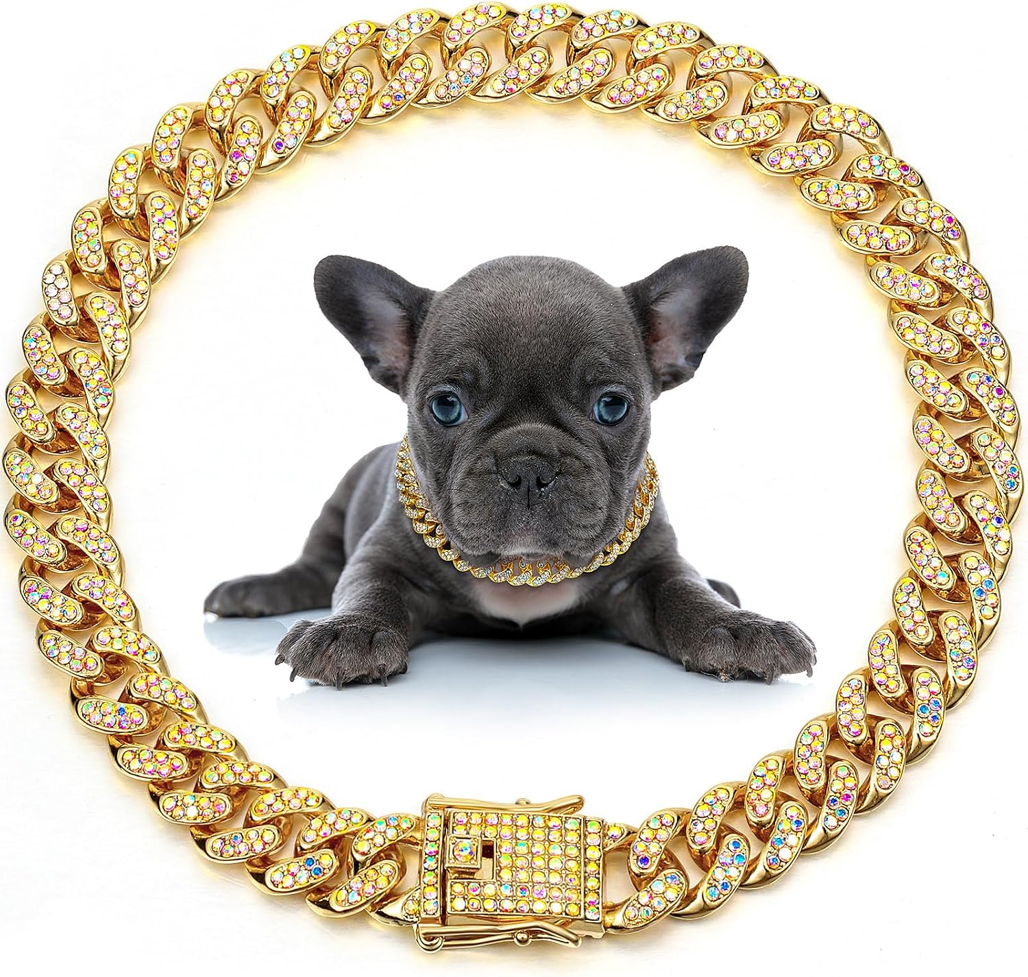 Pet wearing fashionable Leifide rose gold chain necklace