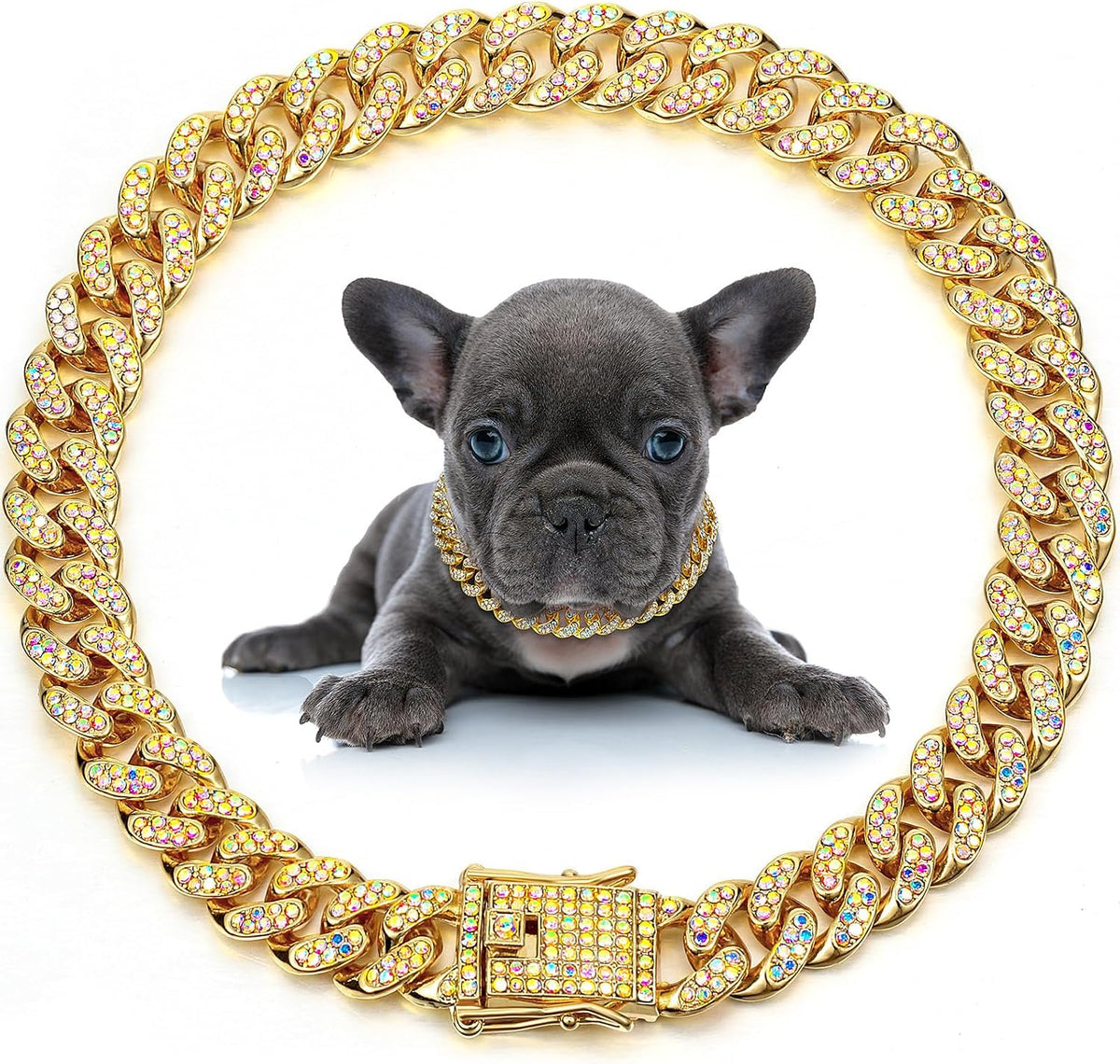 Pet wearing fashionable Leifide rose gold chain necklace