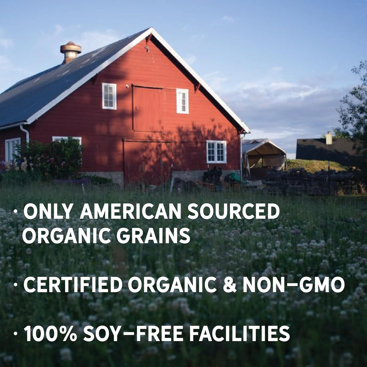 New Country Organics organic chicken feed texture close up