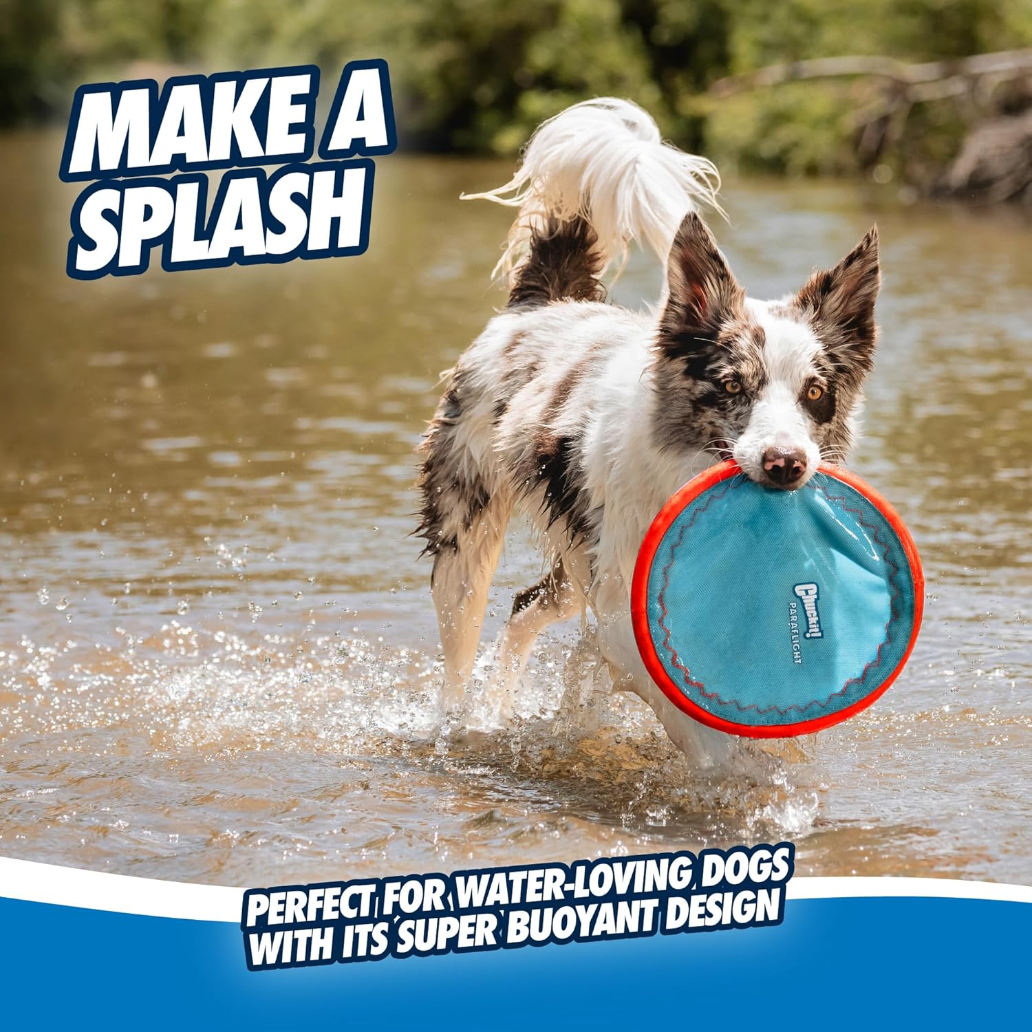 Chuckit! Paraflight flying disc floating on water surface