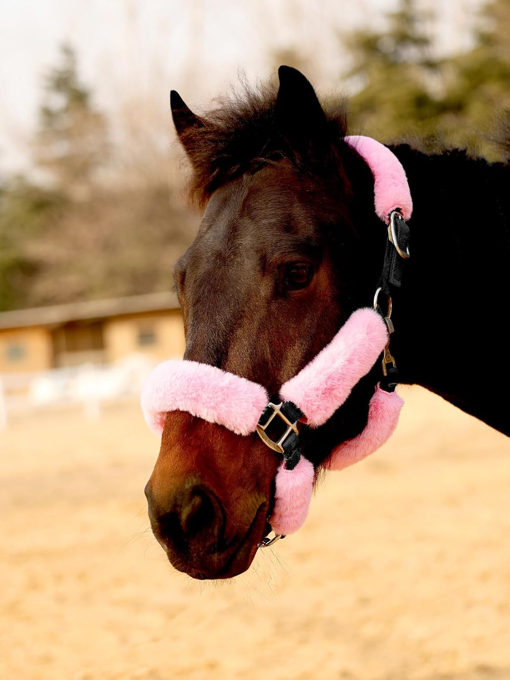 Harrison Howard Fleece Halter Covers for Horses, Set of 9, Prevent Hair Loss Pressure Marks, Padded Horse Halter Fleece Set Black - Image 10