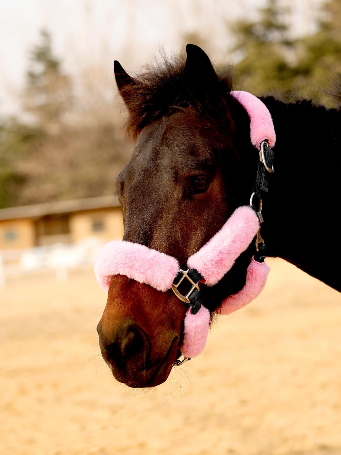 Harrison Howard Fleece Halter Covers for Horses, Set of 9, Prevent Hair Loss Pressure Marks, Padded Horse Halter Fleece Set Black - Image 10