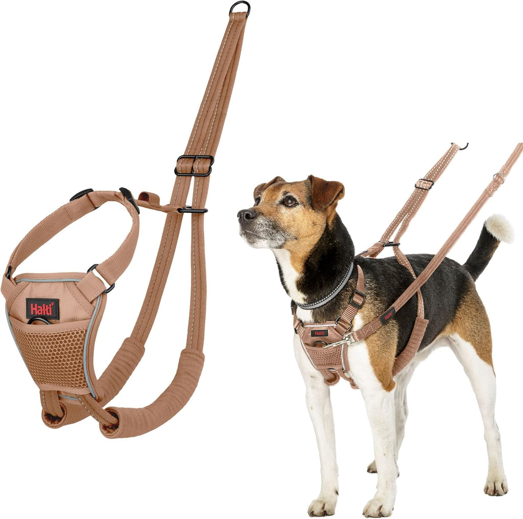 Halti No Pull Harness - Stop Your Dog Pulling on the Leash. Adjustable, Lightweight and Easy to Use. Reflective Dog Training Harness for Medium Dogs (Size M, Black) - Image 11
