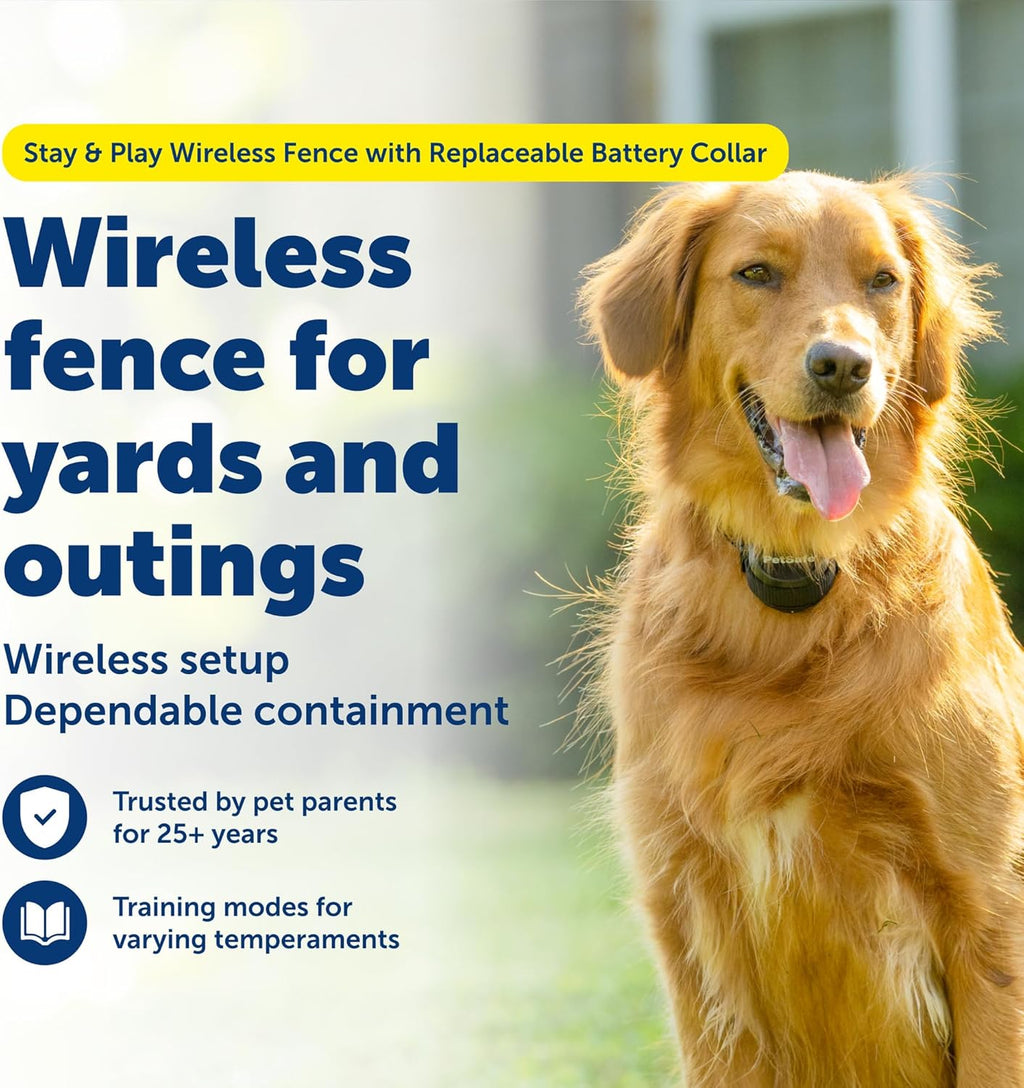 Waterproof receiver collar for PetSafe Stay and Play system showing adjustable strap.