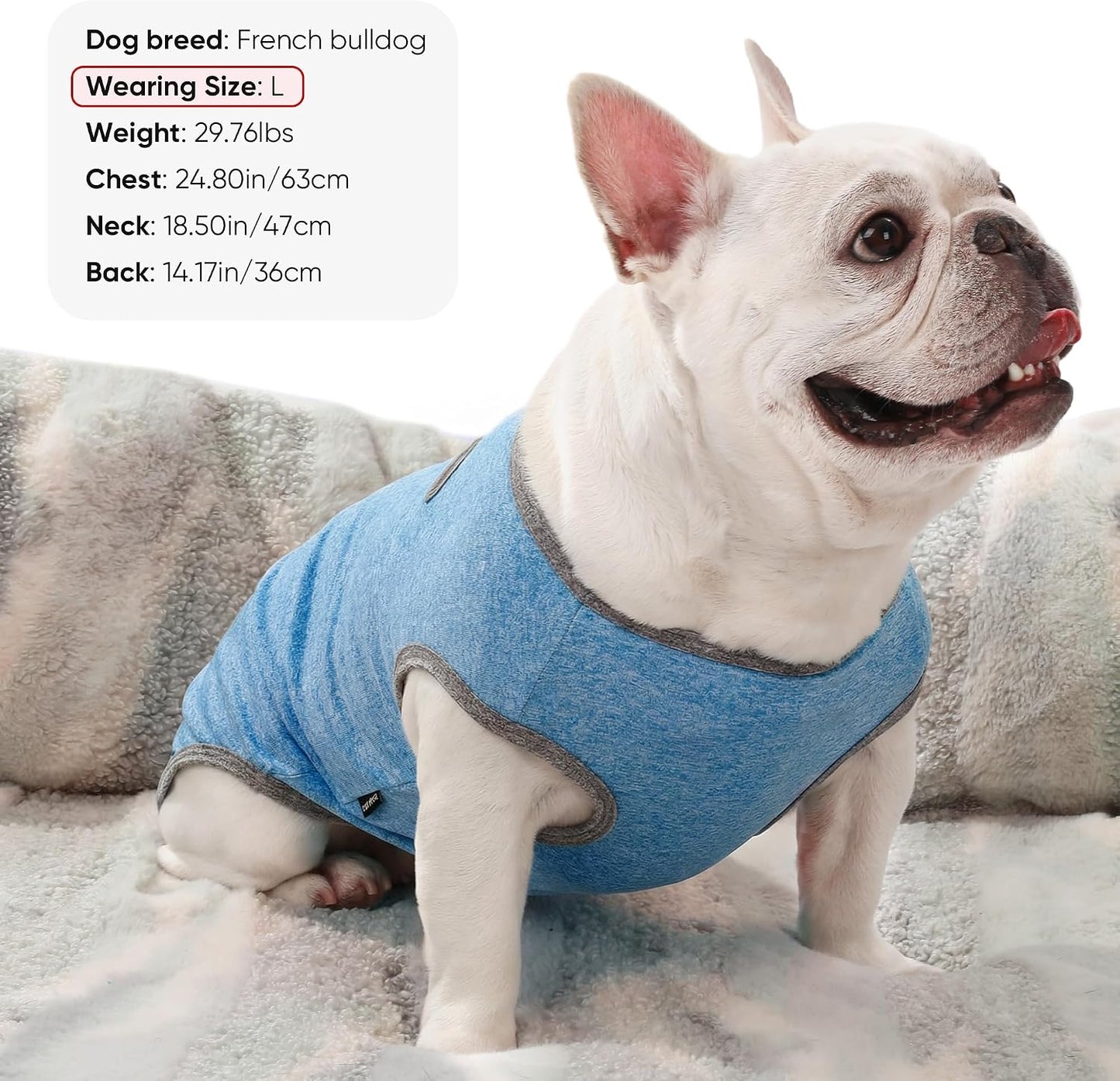 Side profile of medium dog wearing baobicute sleeveless sun shirt