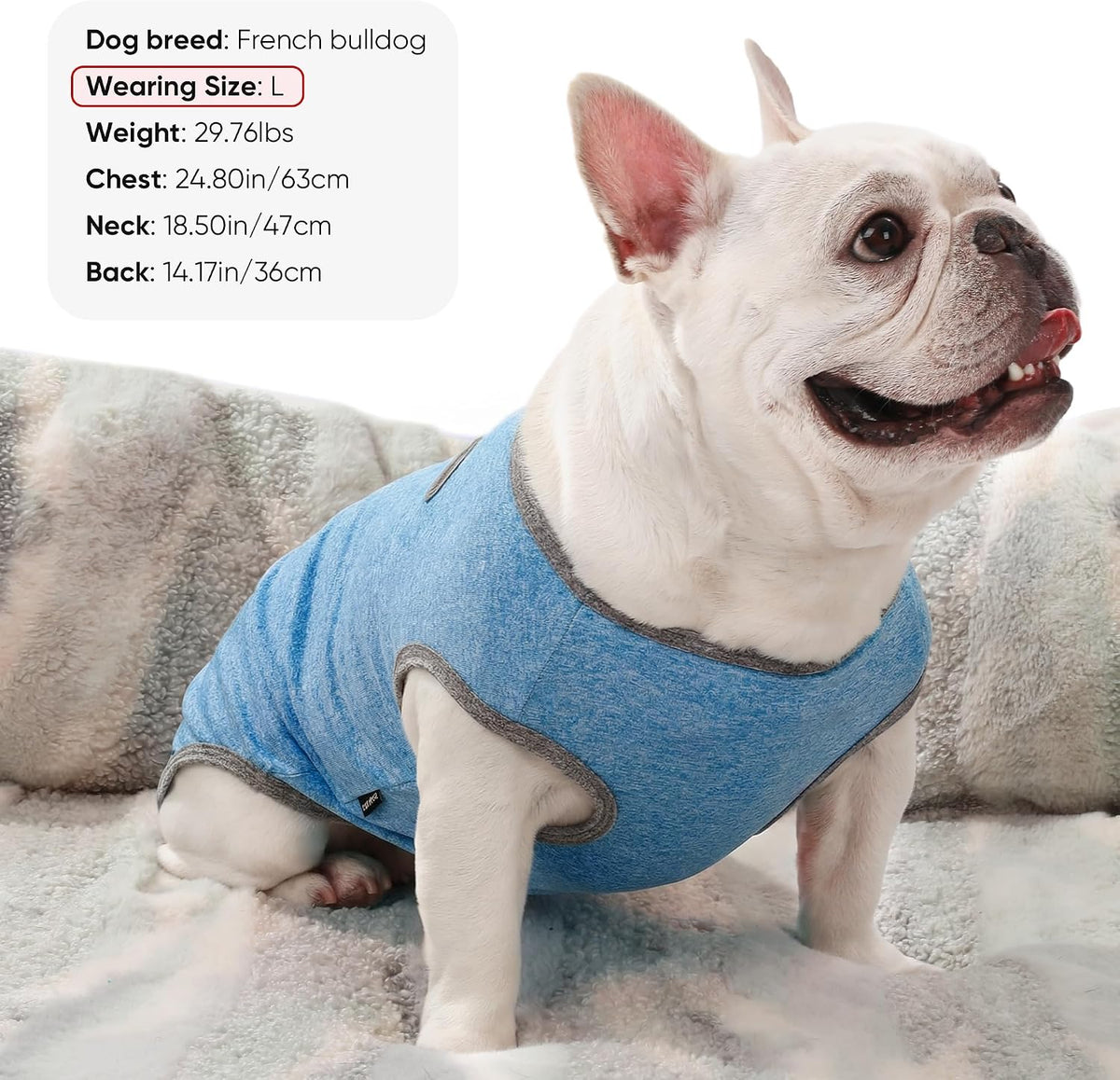 Side profile of medium dog wearing baobicute sleeveless sun shirt