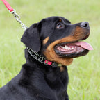 Herm Sprenger training collar adjustment links demonstration for medium breeds