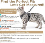 Pangdi escape proof grey cat vest with reflective safety strips close up