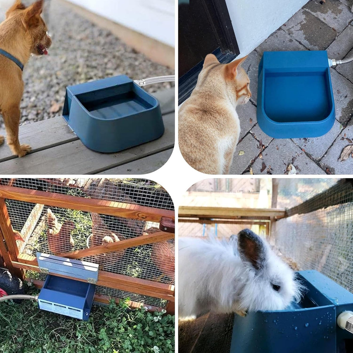 Namsan auto refill waterer bowl with anti bite metal hose outdoor setup
